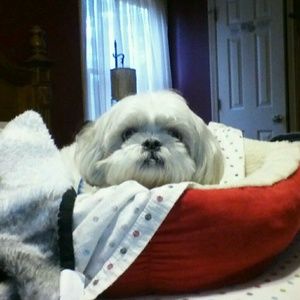 Meet your Posher, Claudia